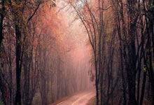 爱游戏-勇士观众热烈欢呼！，西亚卡姆迎来三赛季出色发挥再创辉煌时刻的简单介绍